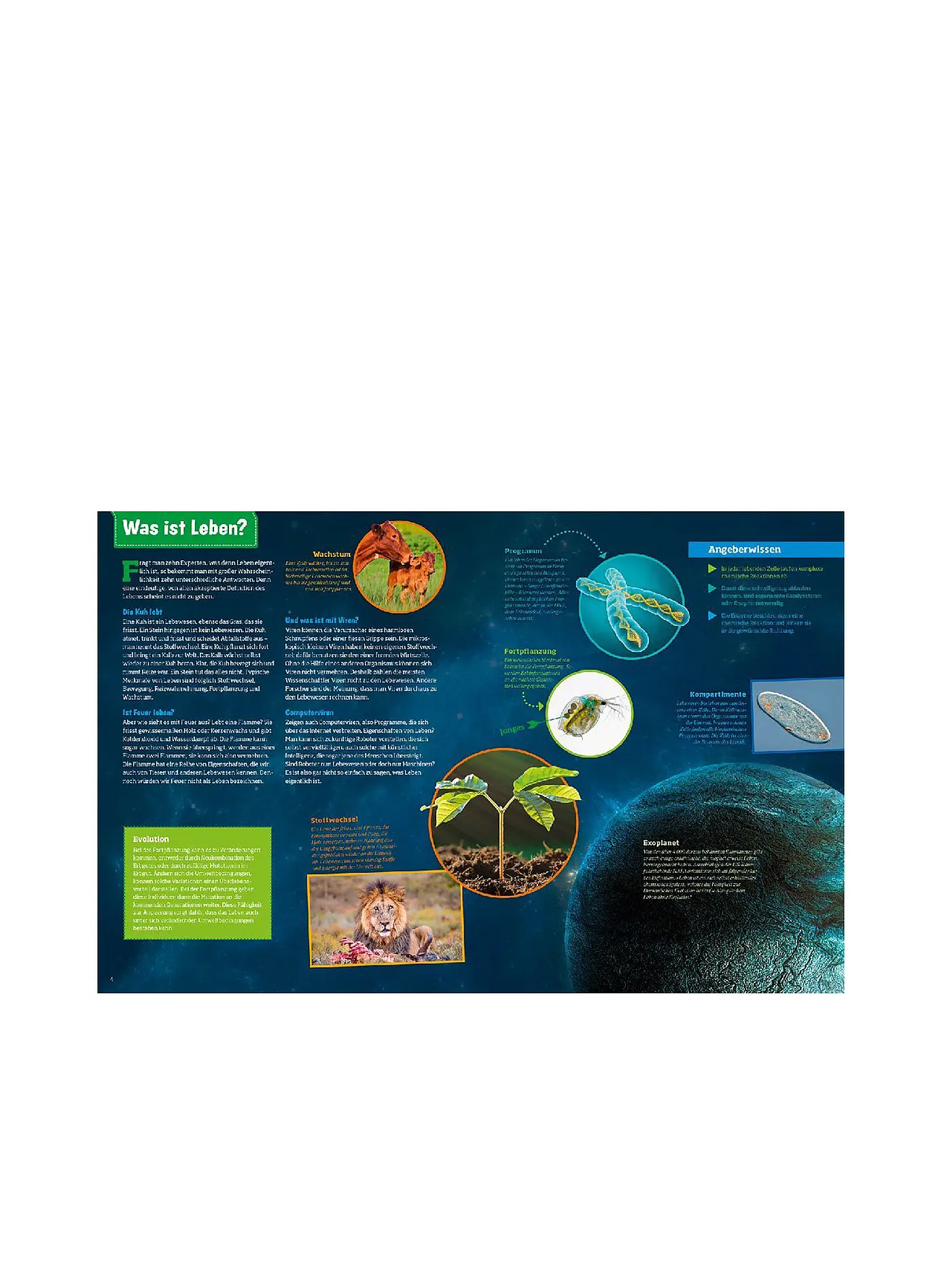 TESSLOFF VERLAG | Buch - Was ist Was - Abenteuer Evolution Das Wunder des Lebens | 